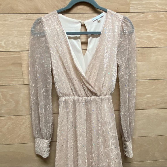 Baltic Born Abigail long sleeve sparkle gown in Champaign size x small - Picture 7 of 9